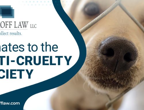 Markoff Law LLC Donates To The Anti-Cruelty Society